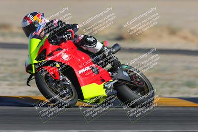 media/Feb-04-2023-SoCal Trackdays (Sat) [[8a776bf2c3]]/Turn 4 (Tree of Life 2pm)/